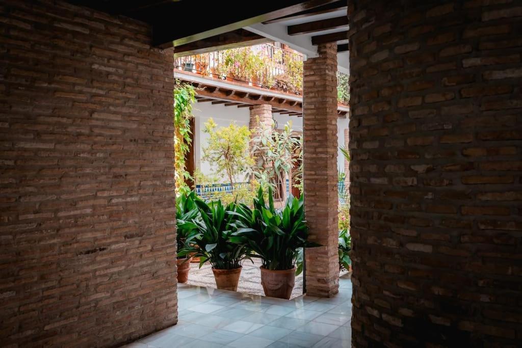 Qh Caldeleria Vieja Lägenhet Granada Exteriör bild