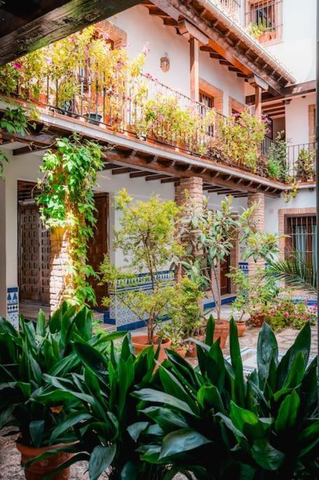 Qh Caldeleria Vieja Lägenhet Granada Exteriör bild